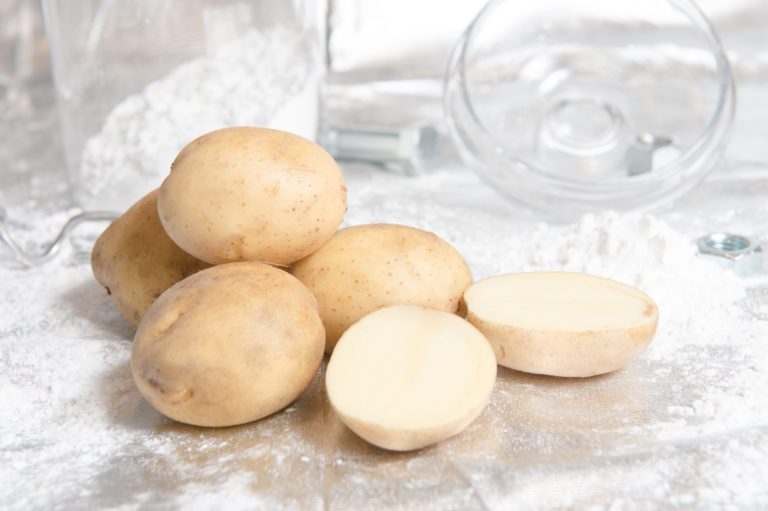 Potato variety Cedron from HZ Zamarte