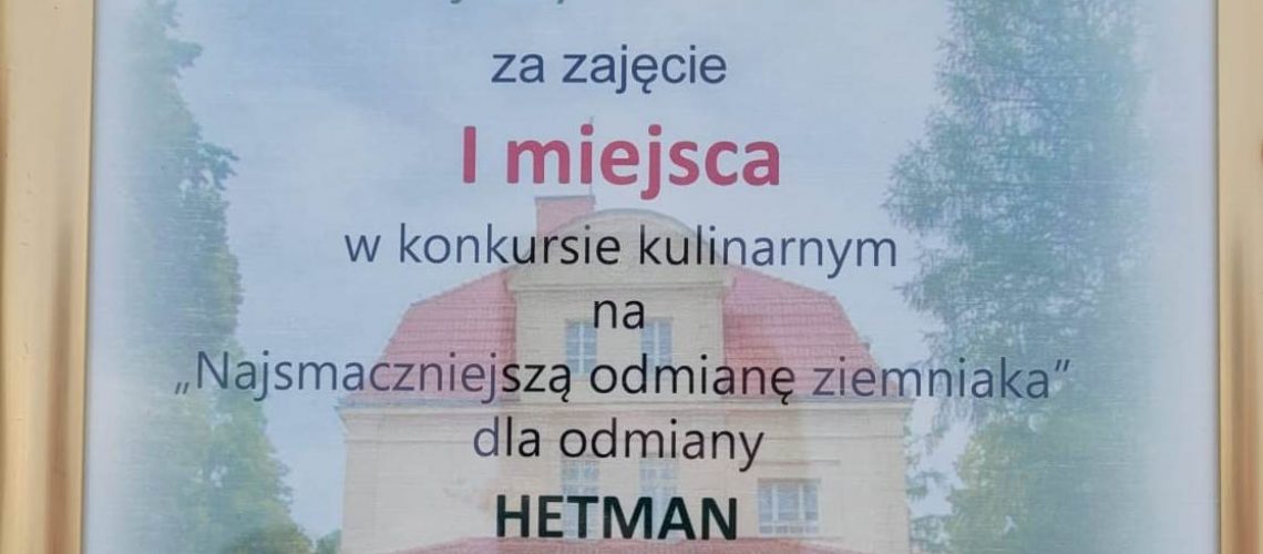 dyplom-Hetman